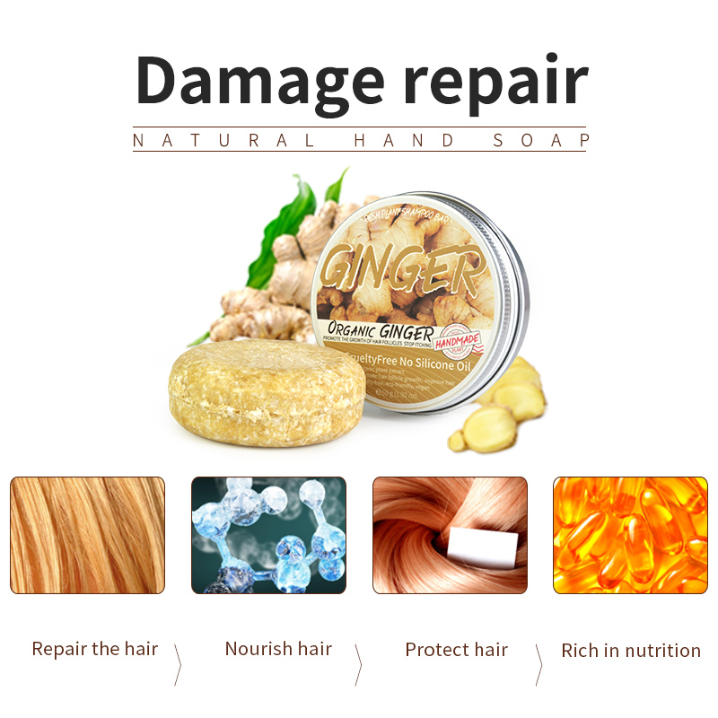 صابون شامبو بالزنجبيل، قالب شا - مراجعة Soap Making Essential Oils وسعره